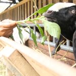 usaha-menjanjikan-2023 bpr kurnia sewon